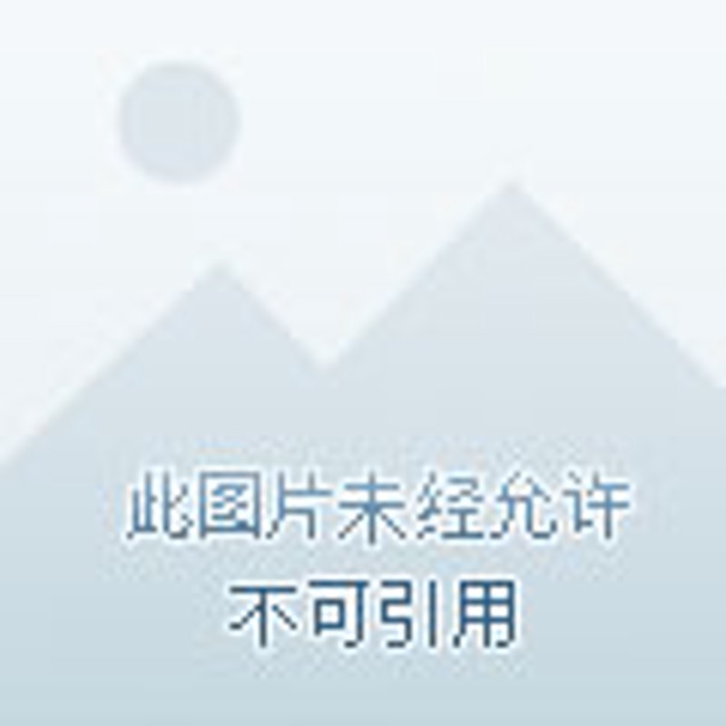 数字藏品运营